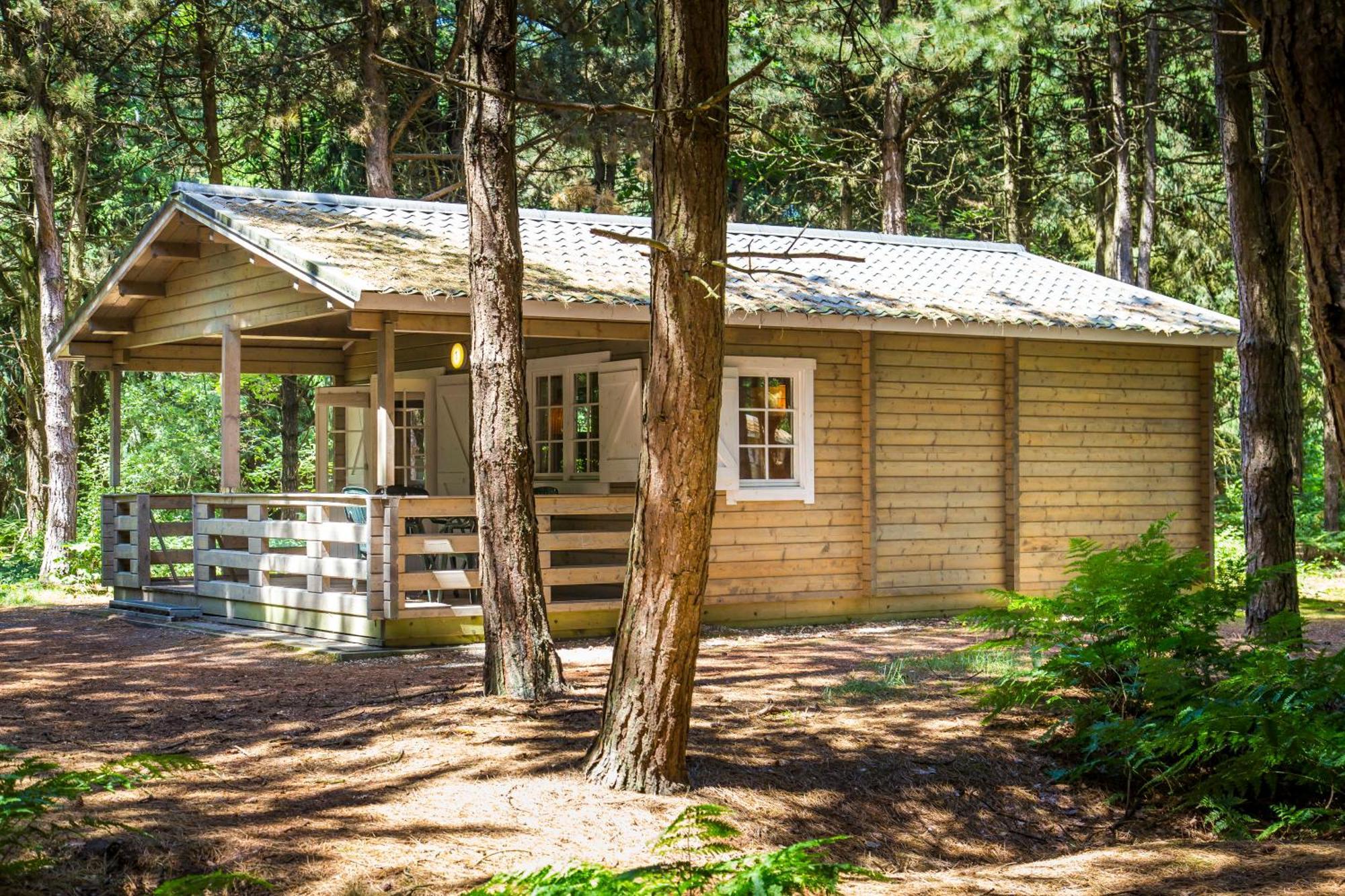 Rcn De Flaasbloem Hotel Chaam Стая снимка